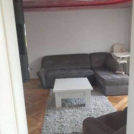 Loznicki stan na dan 2 - stan na dan Loznica Apartment Bagian luar foto