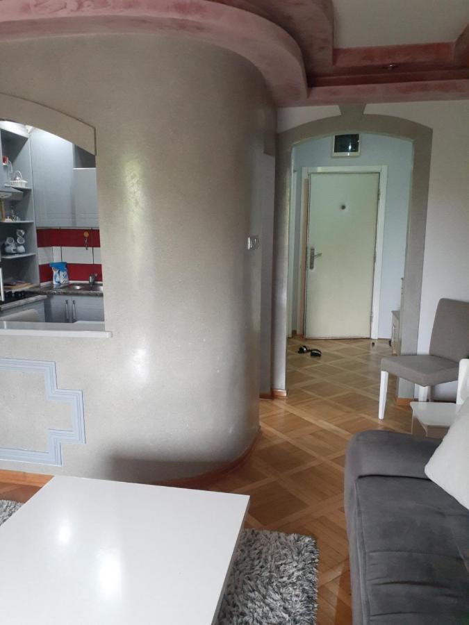 Loznicki stan na dan 2 - stan na dan Loznica Apartment Bagian luar foto